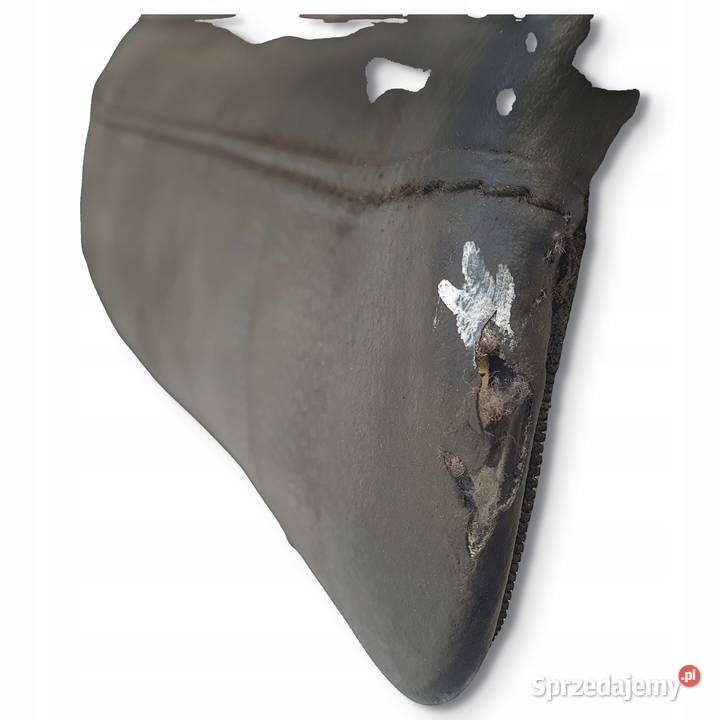 KANAPA FOTEL SIEDZENIE Triumph Street Twin 900 Chełm