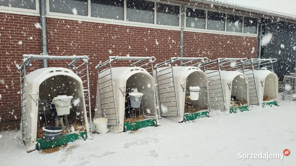 Domek cieląt pojedynczy CalfOTel Comfort z