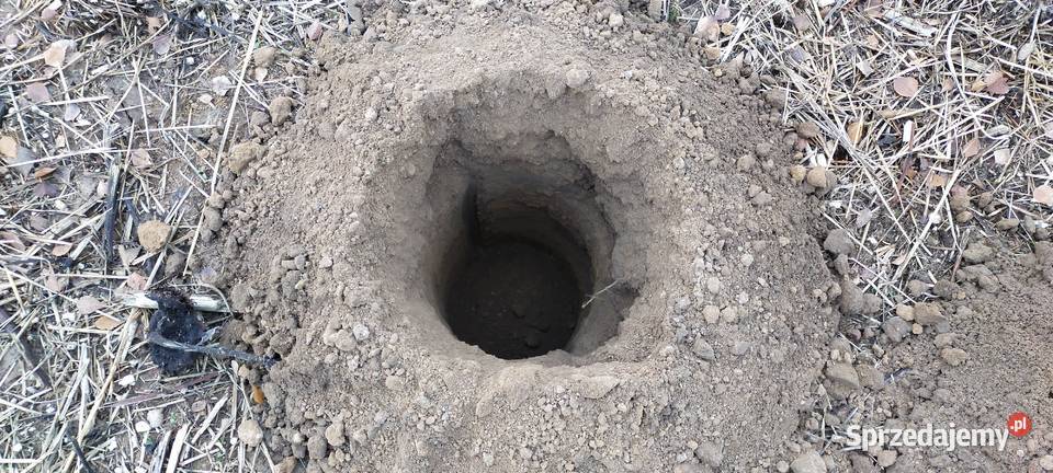 Usługi minikoparką wiertnicą i wywrotką lubelskie Lublin