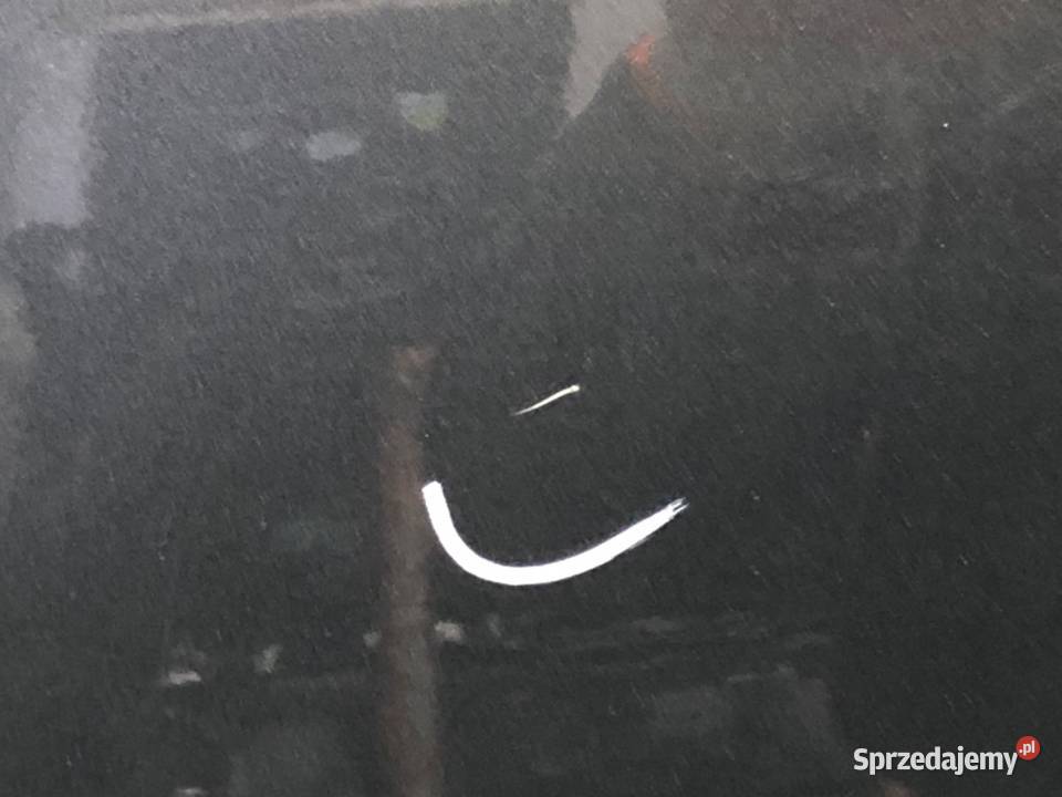 DRZWI LEWY PRZÓD CITROEN C3 PICASSO Minivan Drzwi