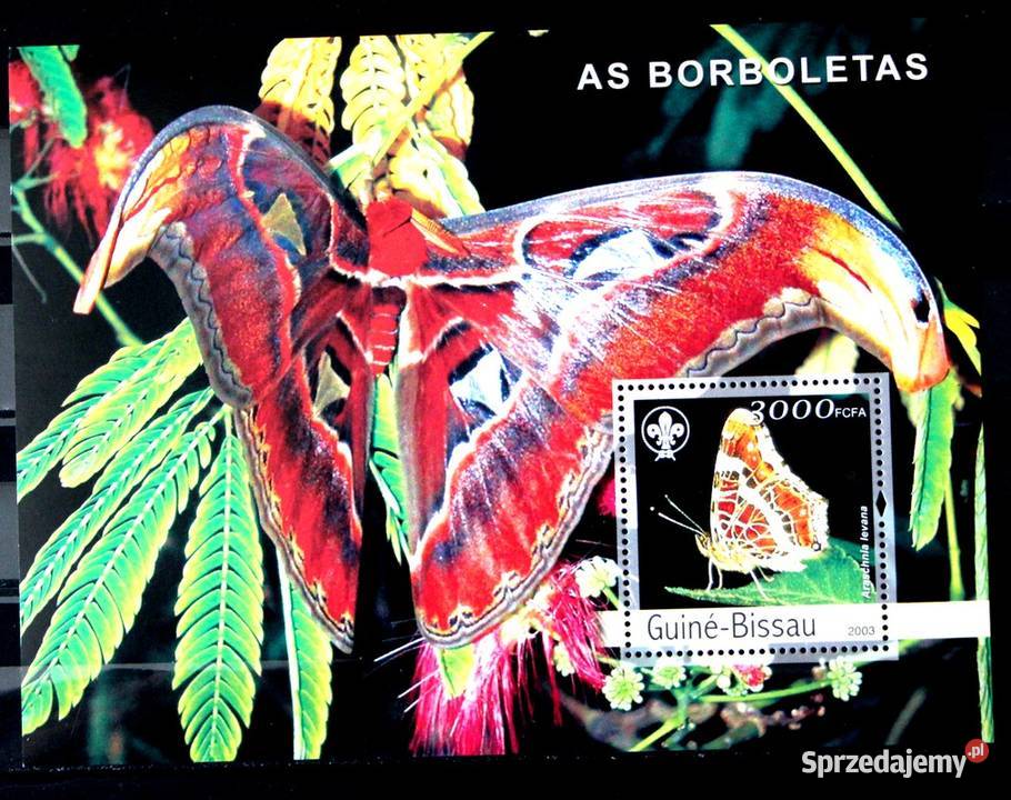 Gwinea Bissau 2003 r motyl Oborniki sprzedam