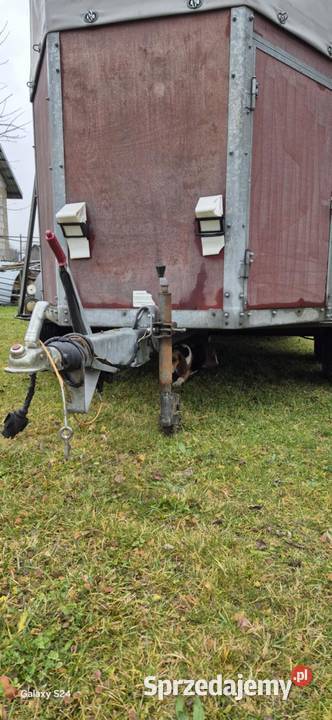 Przyczepa do przewozu zwierząt nieuszkodzony Krzczonów Trzeci