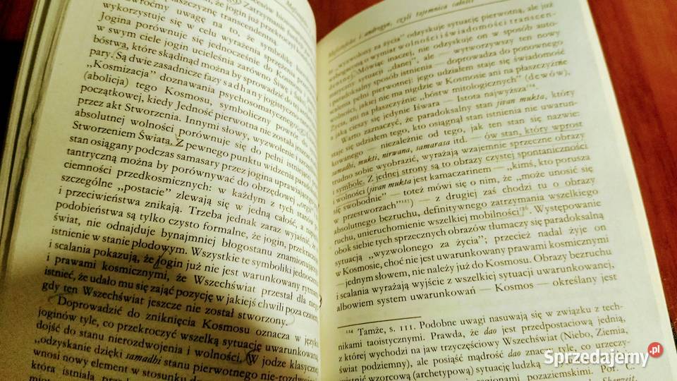 efistofeles i androgyn Mircea Eliade przeł Gdańsk