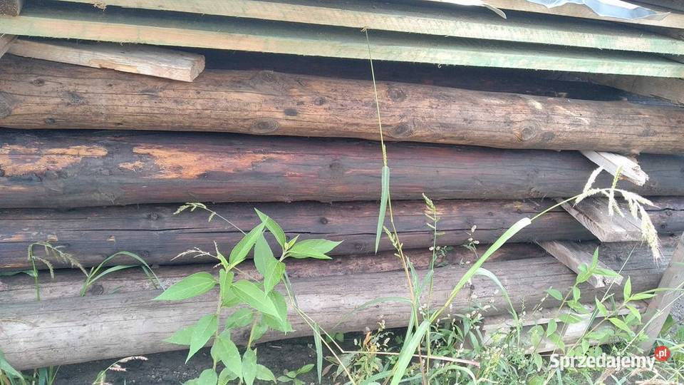 Stemple podpory drewniane grube długie 5m Pozostałe Pozostałe Kraków