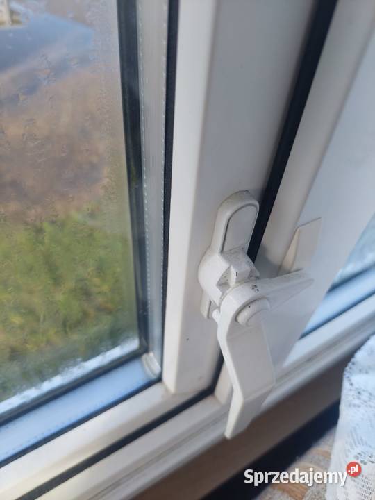 DOMEK HOLENDERSKI ANGIELSKI 37 8 m Poznań