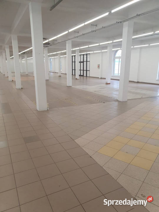 Duży lokal użytkowy w Tarnowie836 m z parkingiem Tarnów