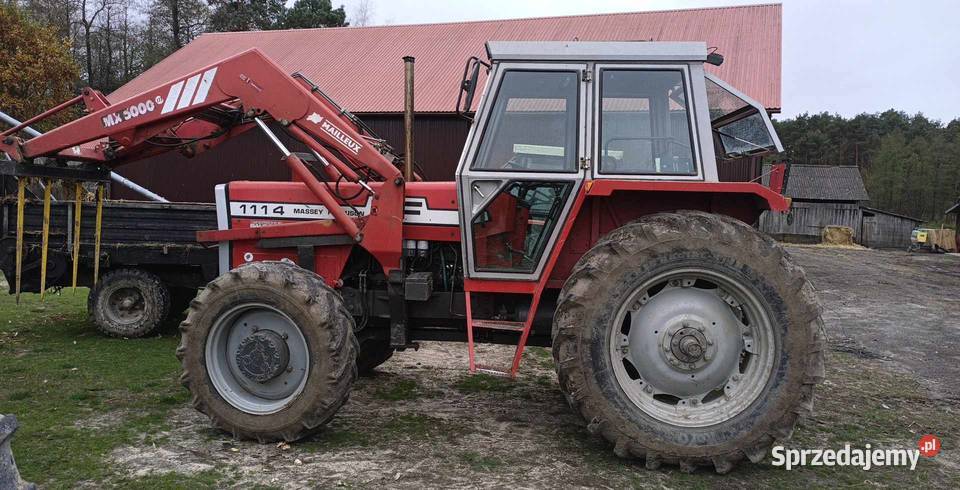 Massey Ferguson 1114 Wola Wielka