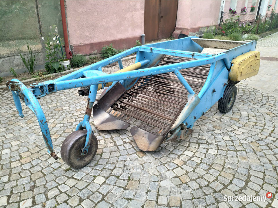 Kopaczka elewatorowa AGROMET Z609 Ząbkowice Śląskie sprzedam