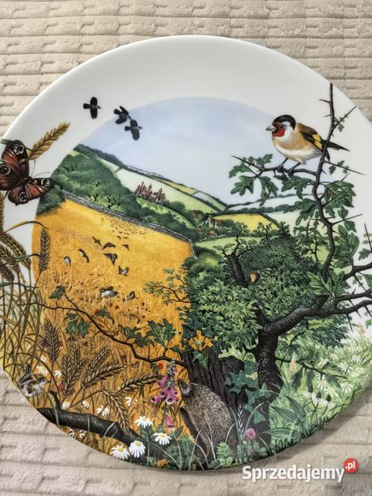 Piękny angielski talerz kolekcjonerskimotyw kujawsko-pomorskie Inowrocław