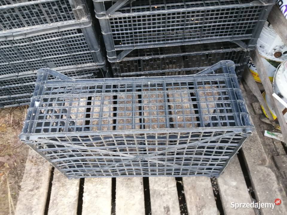 skrzynia paletoskrzynia paleta skrzynka pojemnik Grudziądz