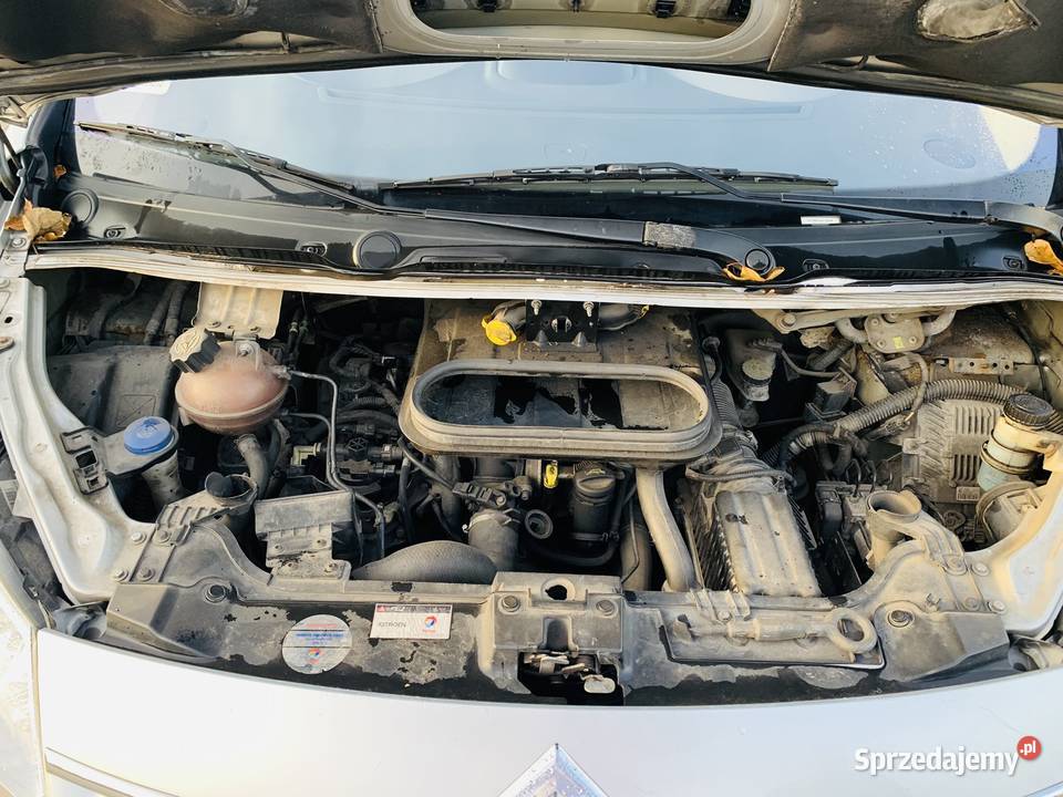 Citroen Jumpy 2008 r dużym serwisie 307000km wielkopolskie Kalisz