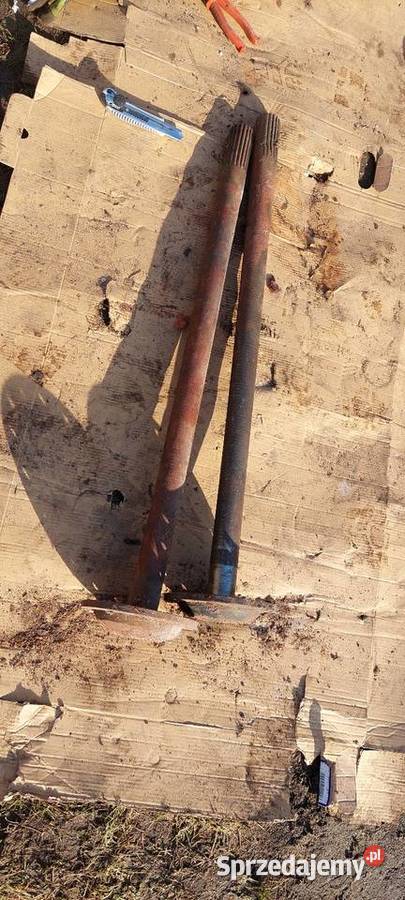 Półos star pomorskie Reda