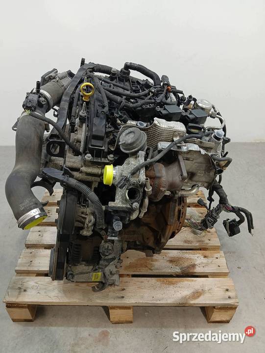 SILNIK KOMPLETNY BENZYNA SFJD C1BG6007BF 10