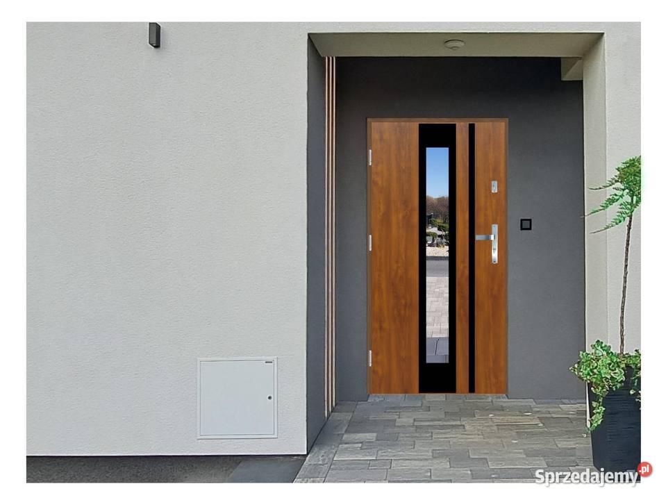 Drzwi wejściowe do domu GI29 INOX Złoty Dąb 90 Ciemniewo