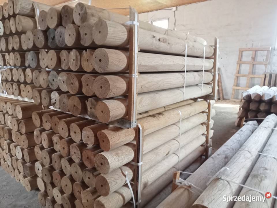 Palisada debowa Sokółka