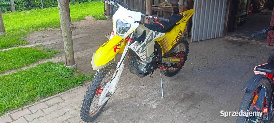 ASIX XR99 2025 Pozostałe pomorskie Rokity