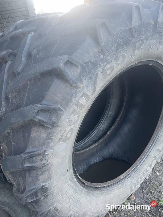 Opona 6006538 Góra Bałdrzychowska