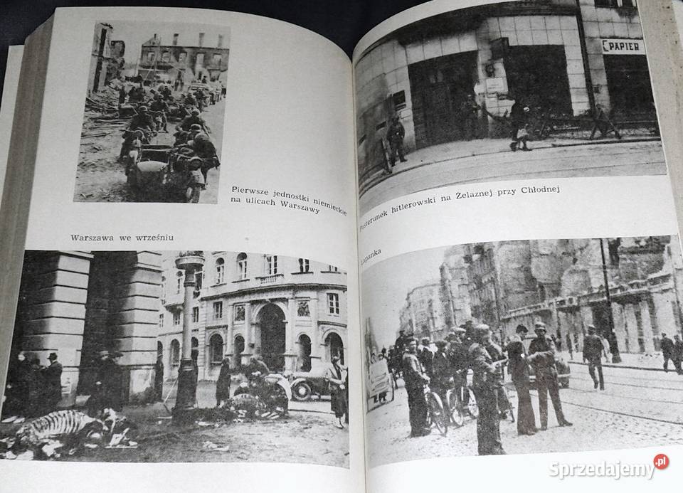 Miejsce urodzenia Jan Kędzierski Chełm sprzedam