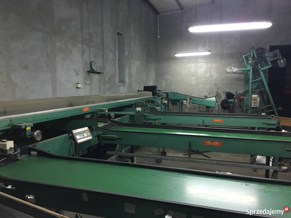 Sortownica do jabłek gruszek Biała Rawska