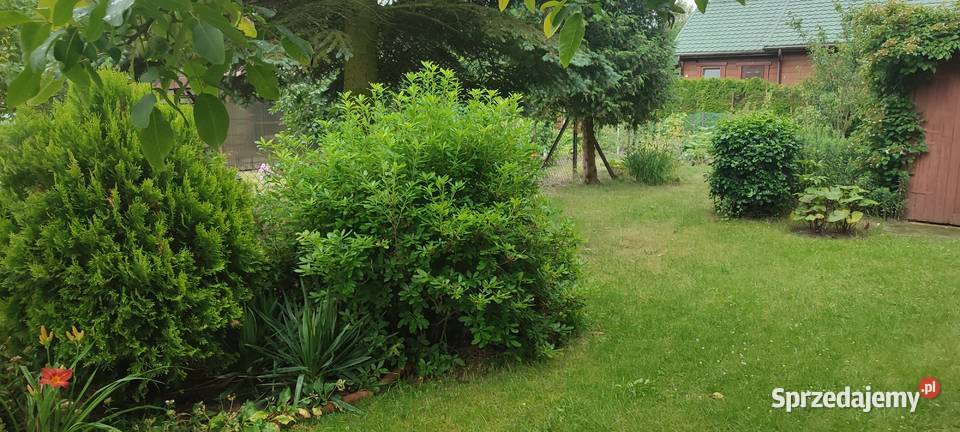 Działka WrzącaLutomiersk WŁASNOŚĆ ROD 670m2 Sprzedaż Lutomiersk