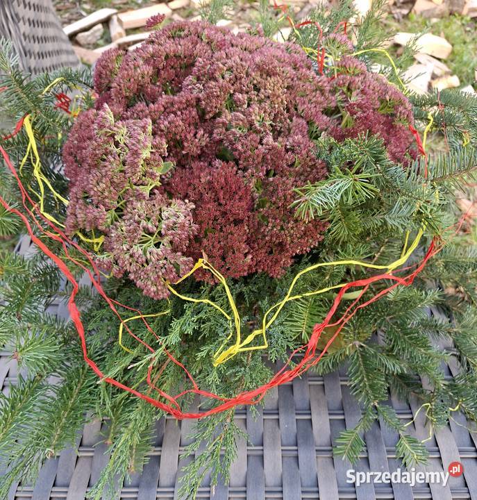 Eco wiązanki na cmentarz Pozostałe Kraków