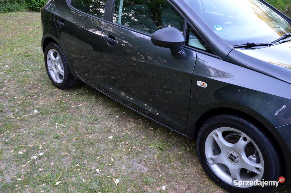 Piękna Ibiza Z Niemiec Klima Alu Benzyna Serwis Ibiza Staszów