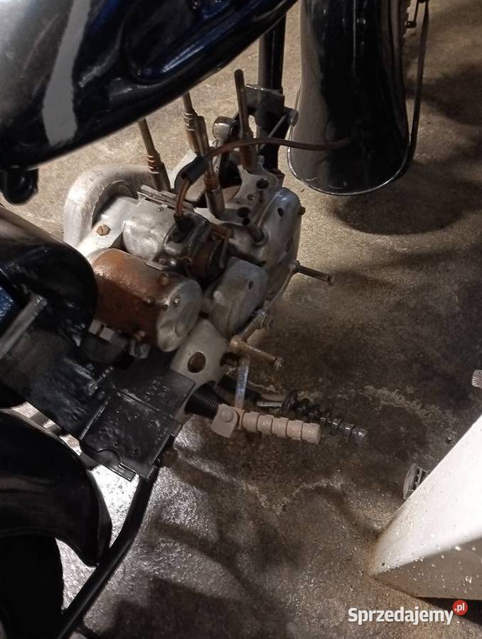 Terrot kujawsko-pomorskie Gostycyn