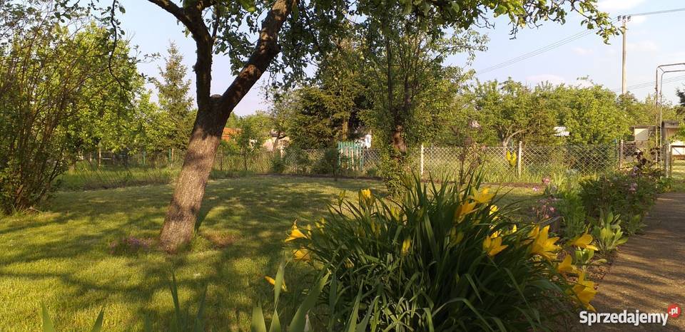 Ogródek działkowy działka ROD Majówka Legnica