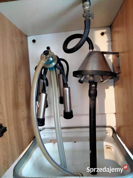 Dojarka do mleka Siary sprzedam