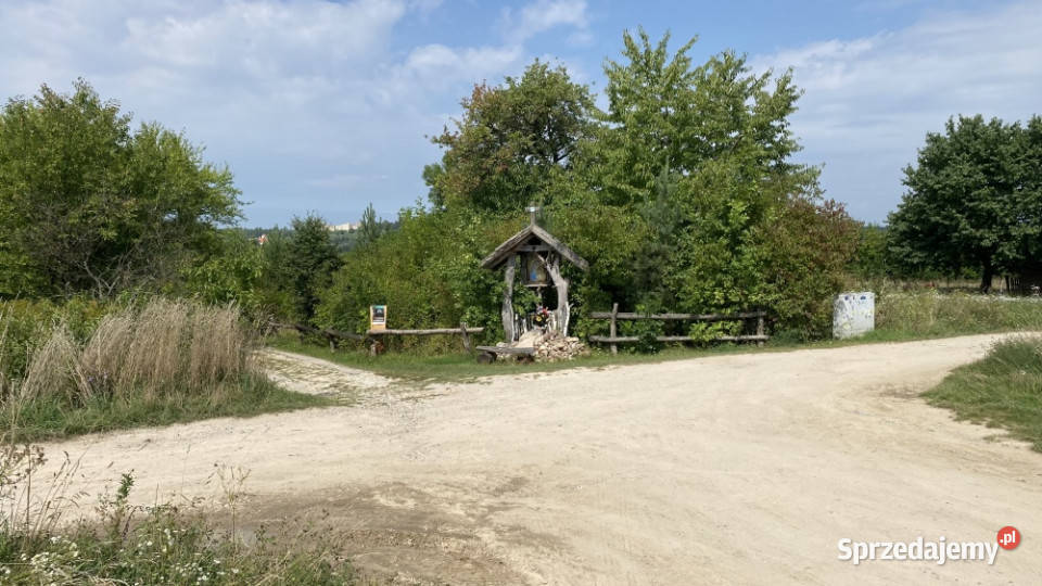 Piękna Działka na Wsi Okale k Kazimierz Dolnego 42zł/m2 Kazimierz Dolny