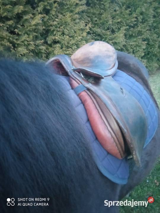 Sprzedam siodło Książ Wielki