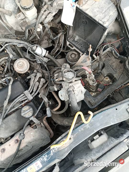 Mazda tribute terenowe Opole Lubelskie