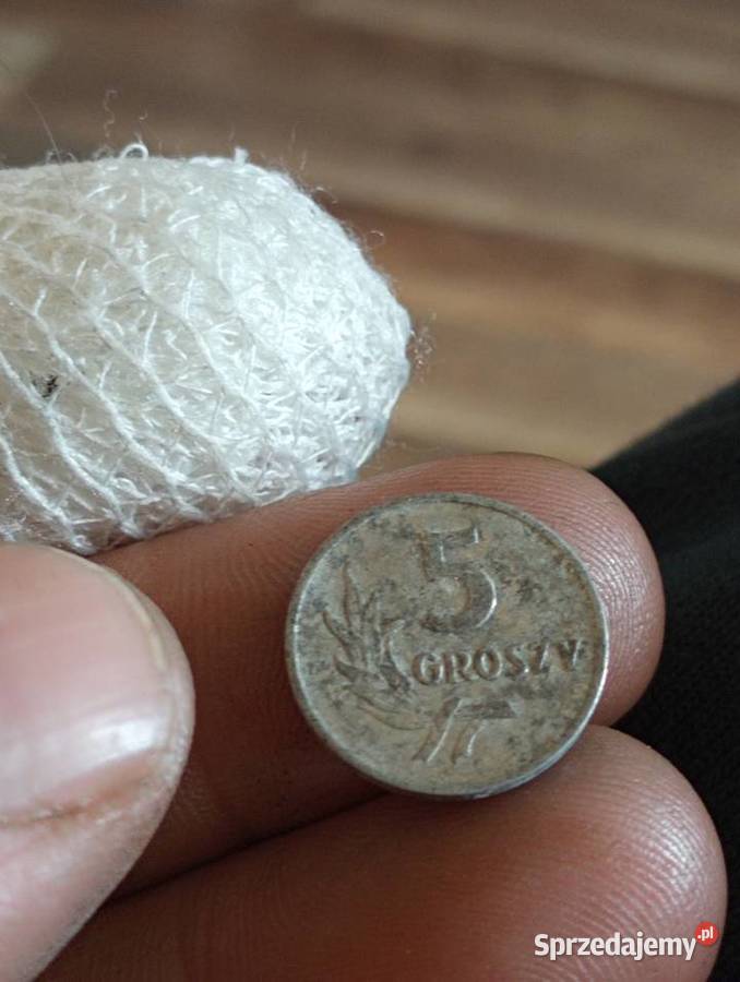 Sprzedam drugie 5v gr 1961r Numizmatyka Chełm