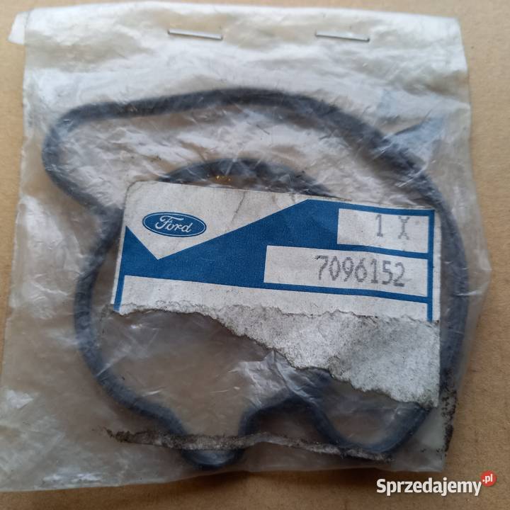 709615295BF9P848AB Uszczelka przepuBL13 EFI