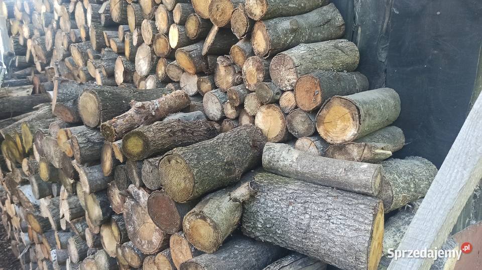 Drewno opałowe pocięte dowóz Przemyśl sprzedam