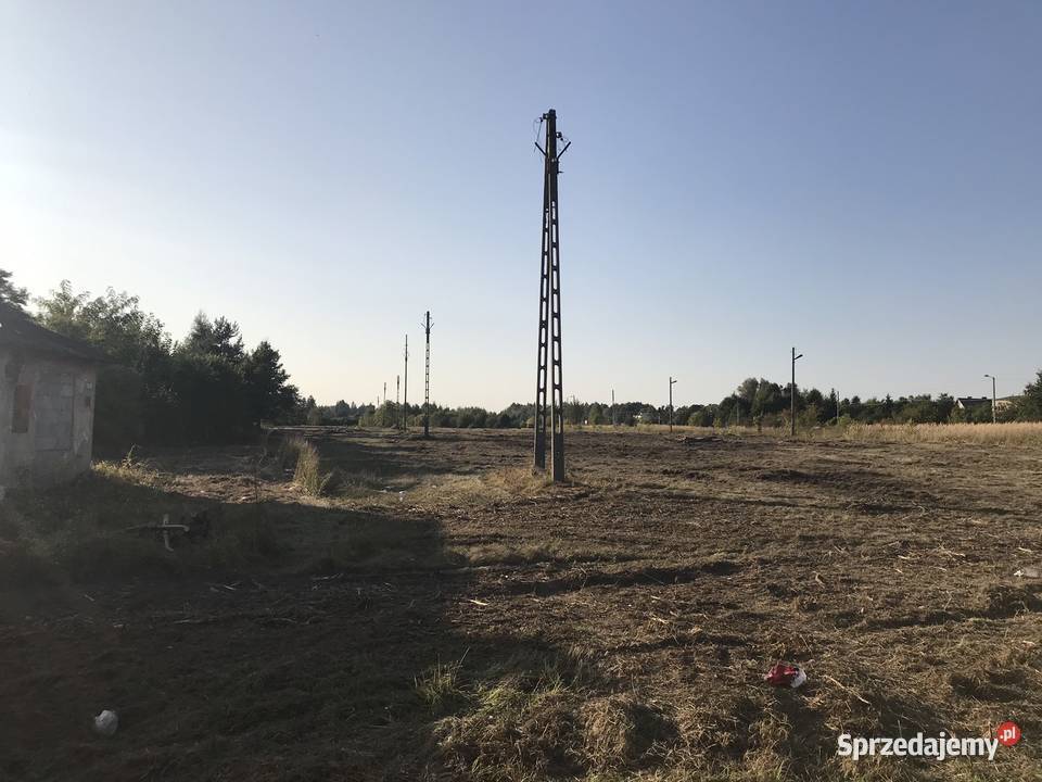 Wycinka drzew rozdrabnianie gałęzi mulczer Korczyn