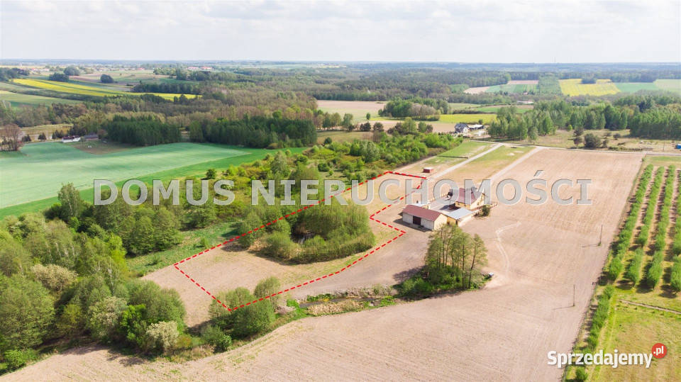 Grunt Rozworzyn 4999m2 gaz