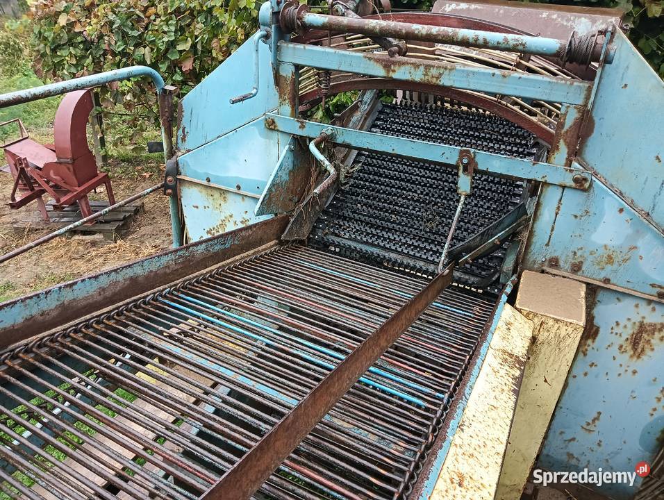 Anna z 644 Do ziemniaków i warzyw Niezabitów