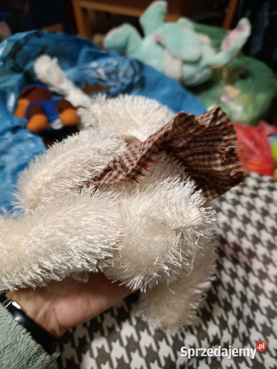 miś pluszowy Ty Classic Sugarcane  sprzedam