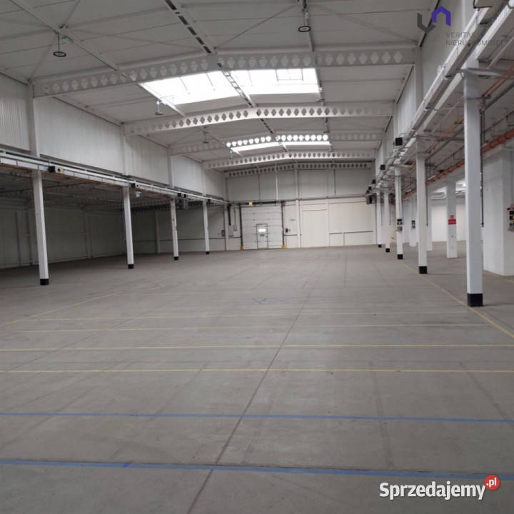 wynajmu lokalu 1242m2 Katowice sprzedam
