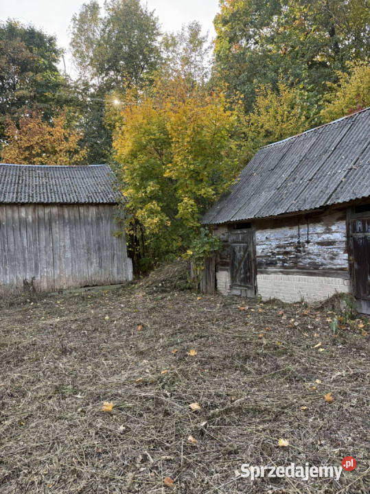Tchórzew 164 siedlisko z lasem i ogromnym
