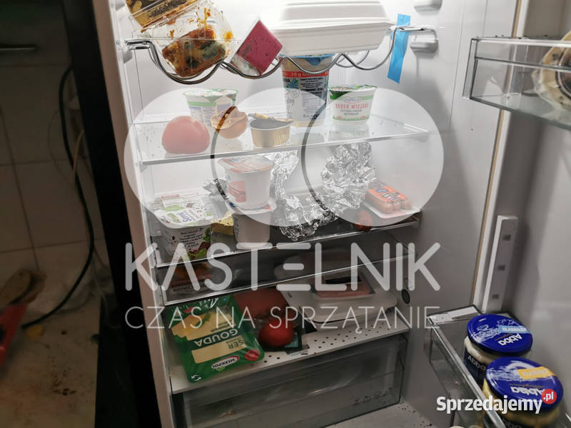 Utylizacja mebli pluskwach Piekary Śląskie