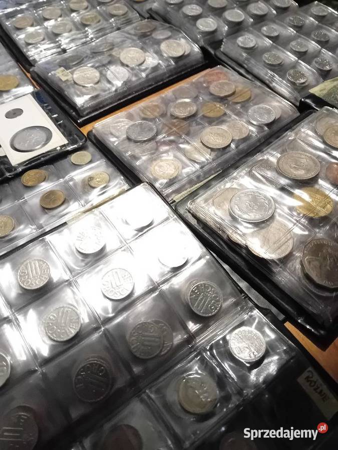 Albumy klasery z monetami 14 Kazimierza Wielka sprzedam