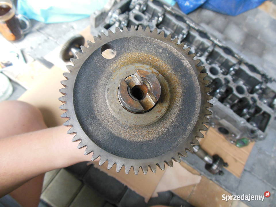 Głowica 20D 24D VOLVO 30777365 30777363 31401466 Kozy