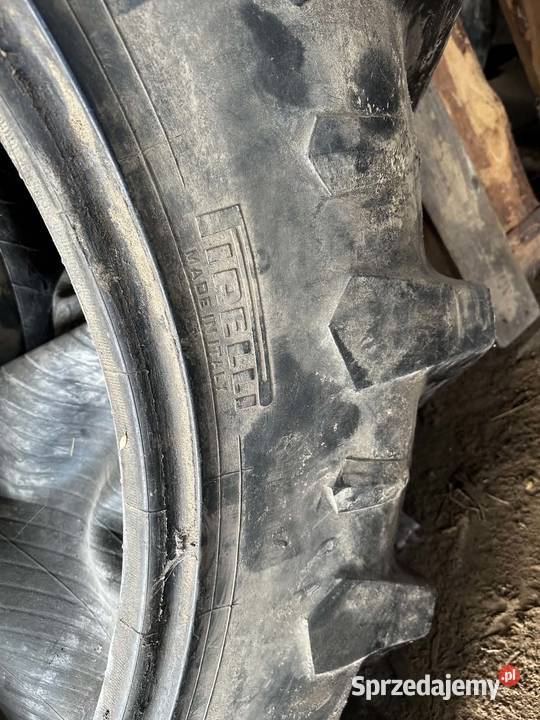 Opona Pirelli Jazy