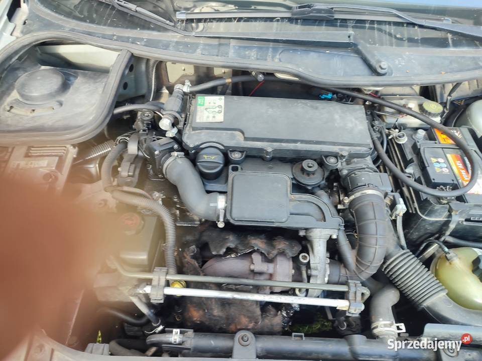 Peugeot 206 Tarzymiechy Drugie