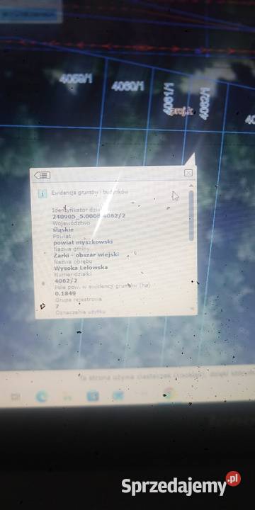 Sprzedam działkę leśną położoną w Ostrowie 11849m2 Wysoka Lelowska