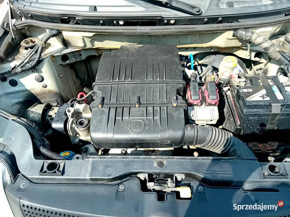 Fiat Panda 12 69 Wspomaganie CITY biały Panda Raciąż sprzedam