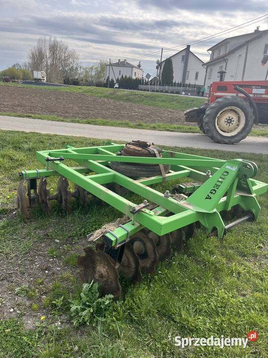 Talerzówka Budziska