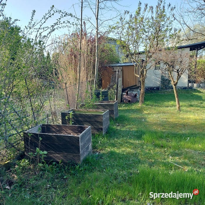 Działka ROD Szarotka Łaziska Górne Nieruchomości